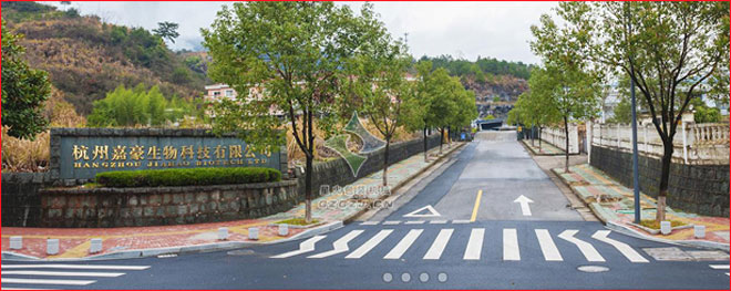 藕粉包裝機(jī),全自動(dòng)藕粉包裝機(jī)